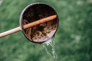 Coconut water scoop