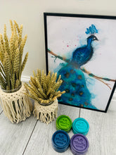 Load image into Gallery viewer, Peacock Fancy