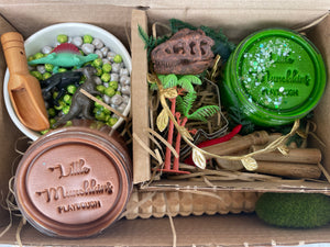 Dinosaur Sensory Box