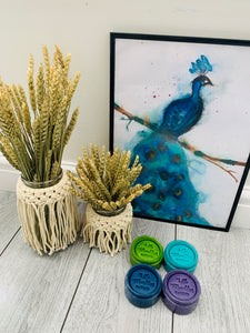 Peacock Fancy