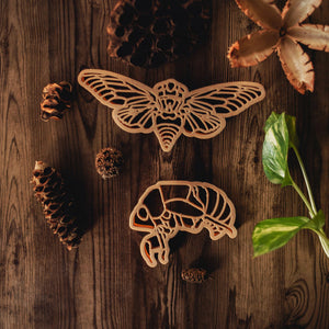 Cicada & Shell Eco Cutter Set