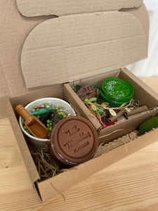 Dinosaur Sensory Box